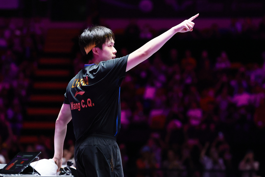 林诗栋凭借, 其他中国队 林诗栋凭借, 其他中国队