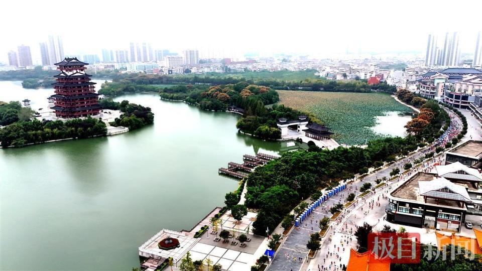 协会监管, 夜游 协会监管, 夜游